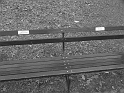 Kids-NYC_TheMET_3-2014 (10)